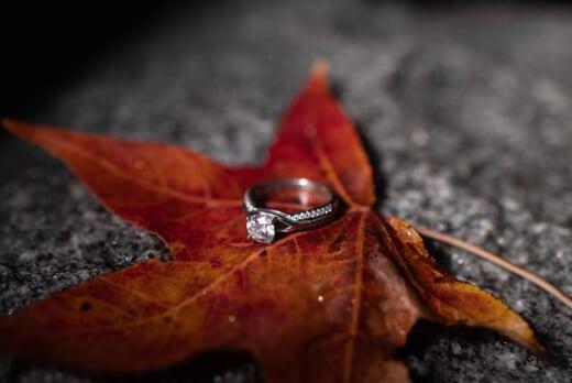 Engagement jewelry detail